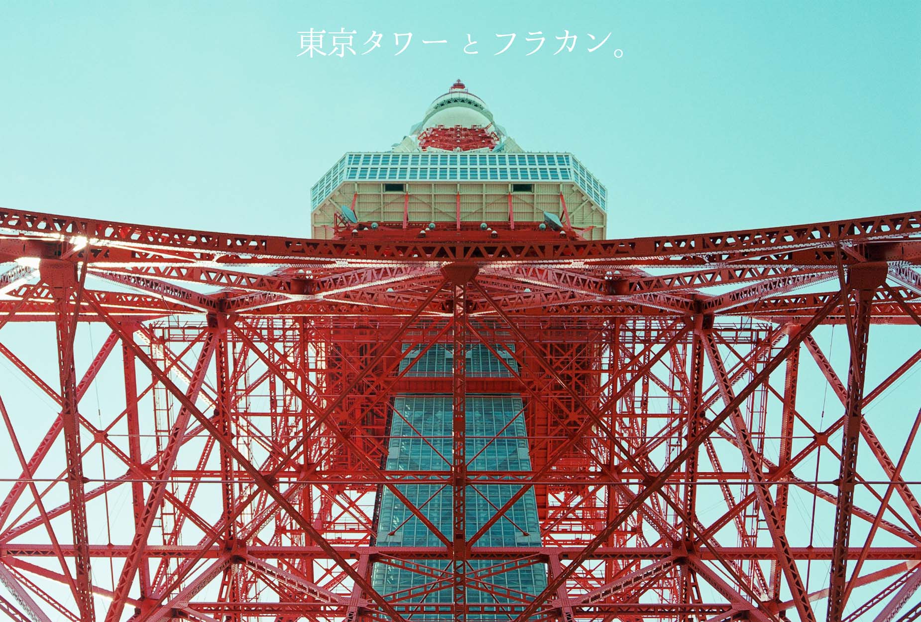 20150330_東京タワーとフラワーカンパニーズ